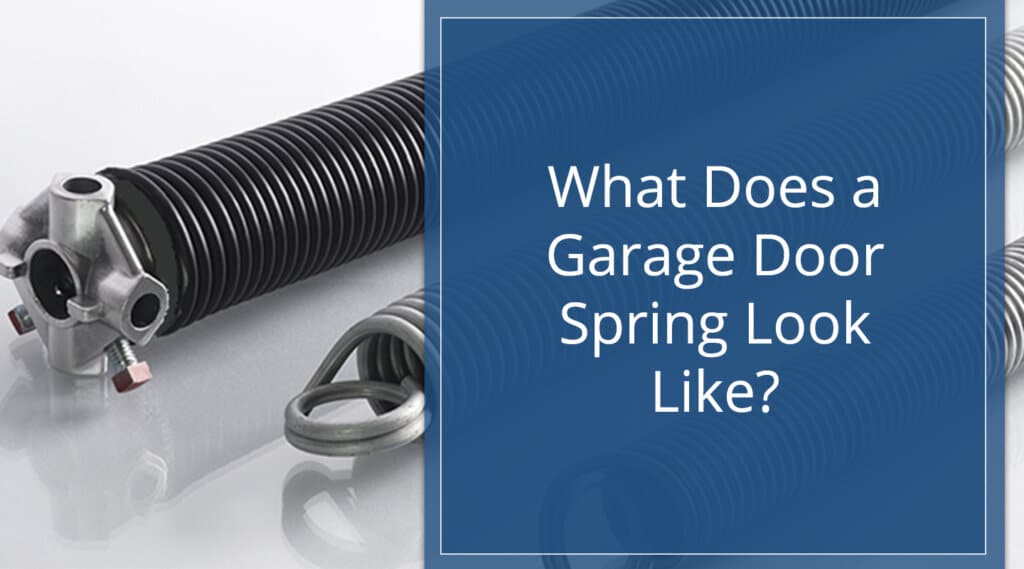 Hero image for what does a garage door spring look like. Shows three springs, one torsion spring and two extension springs covered with title text.
